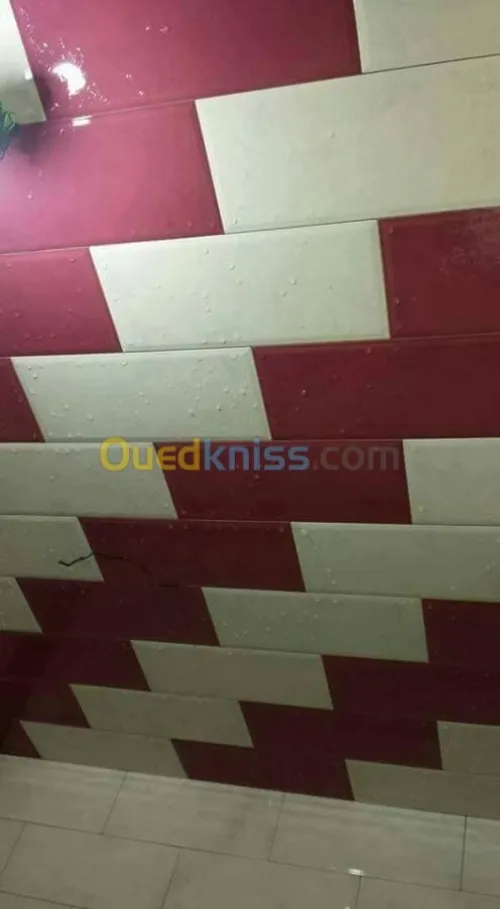 ,Maçon, plomberie' placo,PVC Étanchéité