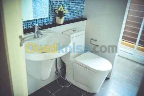 Entreprise Réalisation des travaux plomberie sanitaire 