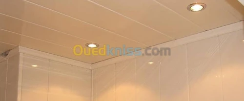 Travaux plafond en pvc 