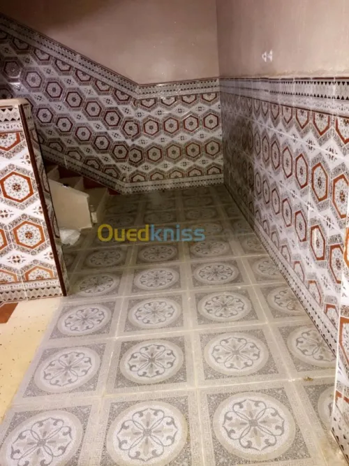 Vente Niveau De Villa F11 Ain temouchent Beni saf