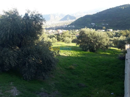 Vente Terrain Bejaia Ighram