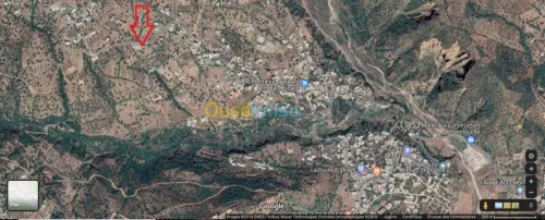 Vente Terrain Bejaia Ighram