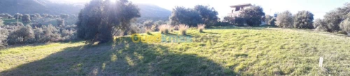 Vente Terrain Bejaia Ighram