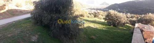 Vente Terrain Bejaia Ighram