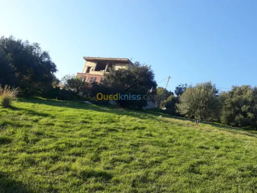 Vente Terrain Bejaia Ighram