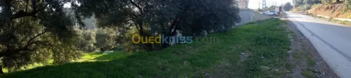 Vente Terrain Bejaia Ighram