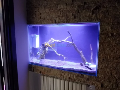 Montage et aménagement d'aquarium 