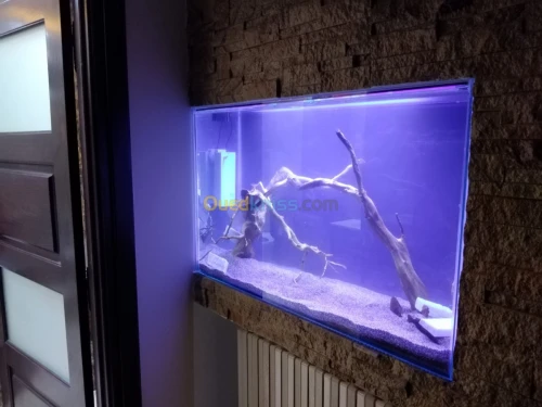 Montage et aménagement d'aquarium 