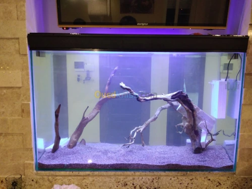 Montage et aménagement d'aquarium 