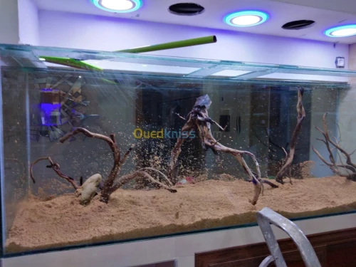 Montage et aménagement d'aquarium 