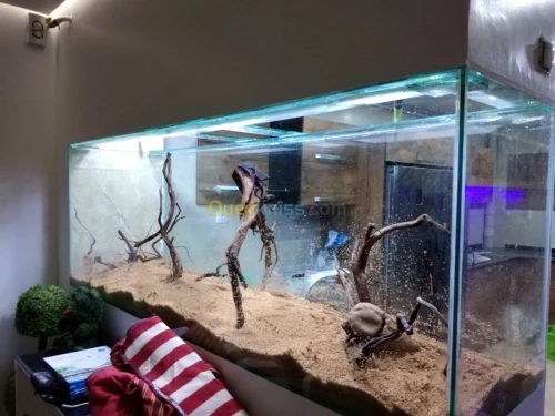 Montage et aménagement d'aquarium 