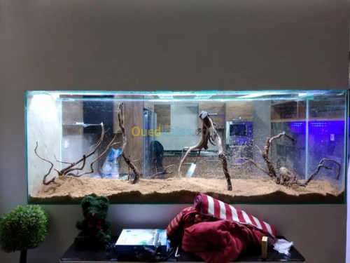 Montage et aménagement d'aquarium 
