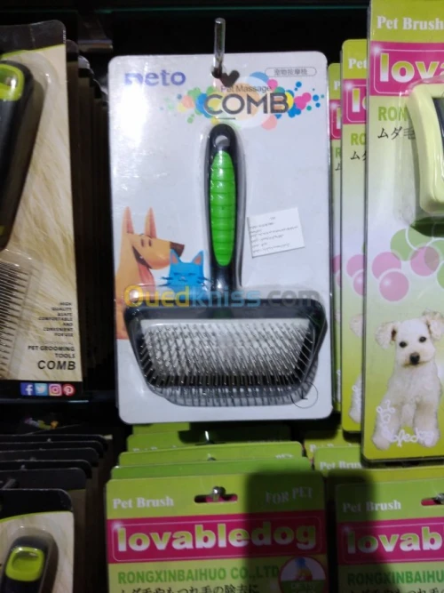 Montage et aménagement d'aquarium 