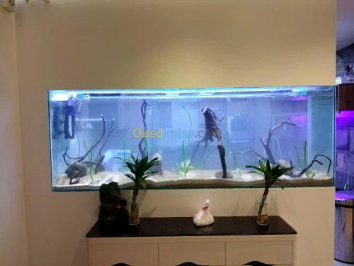 Montage et aménagement d'aquarium 