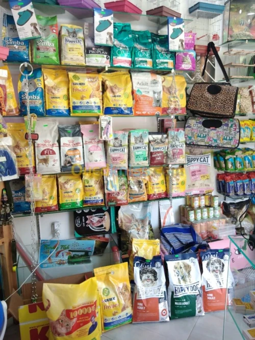 Montage et aménagement d'aquarium 