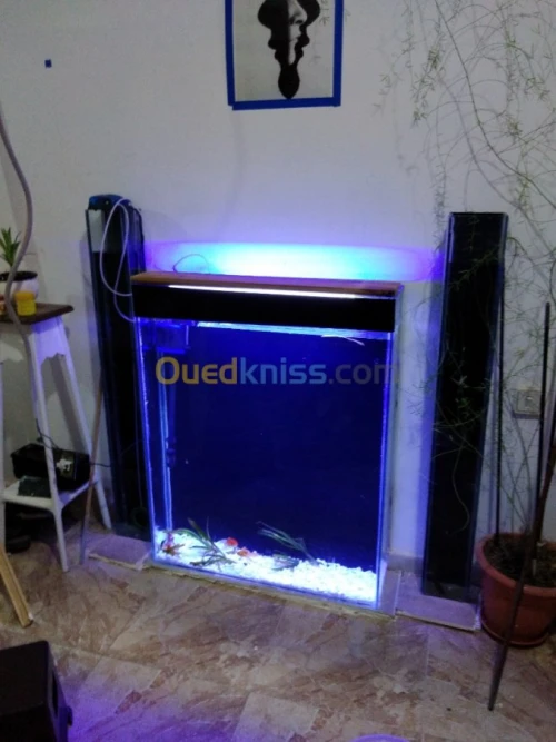 Montage et aménagement d'aquarium 