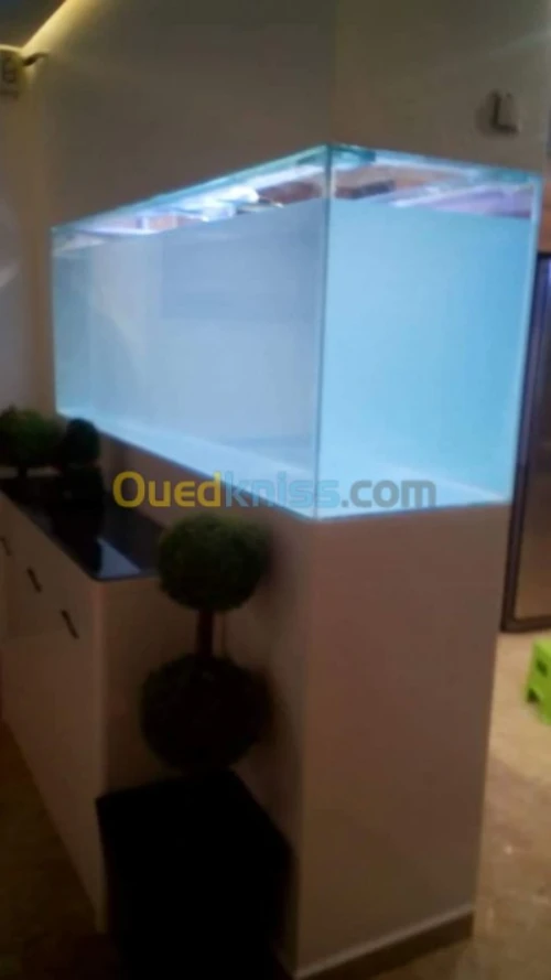 Montage et aménagement d'aquarium 
