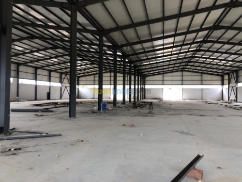 Location Hangar Alger Rouiba