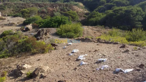 Vente Terrain Tipaza Larhat