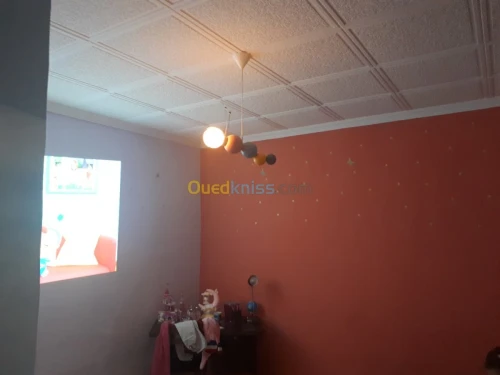 Peinture et étanchéité toiture goudron