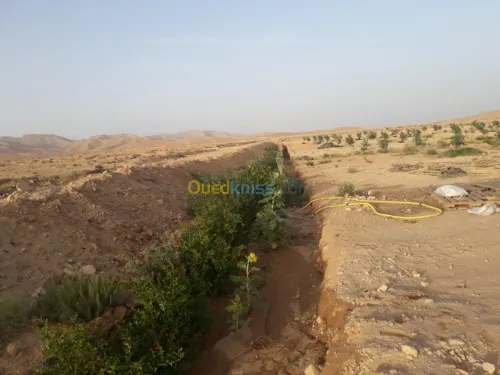 Vente Terrain Agricole Biskra El hadjeb