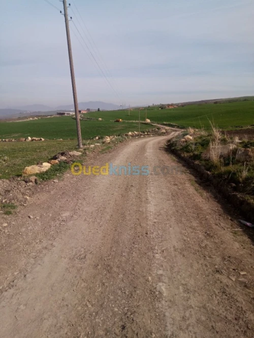 Vente Terrain Mila Mila