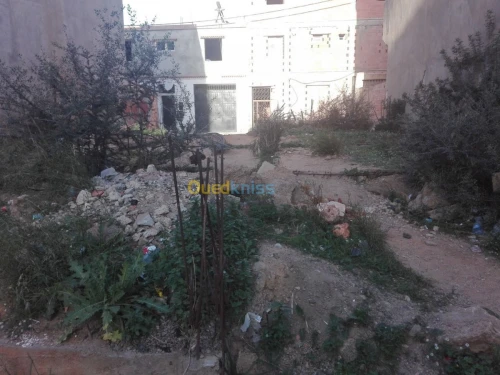 Vente Terrain Alger El magharia