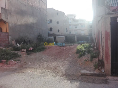 Vente Terrain Alger El magharia