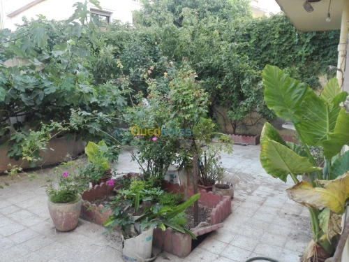 Vente Villa Oran Oran