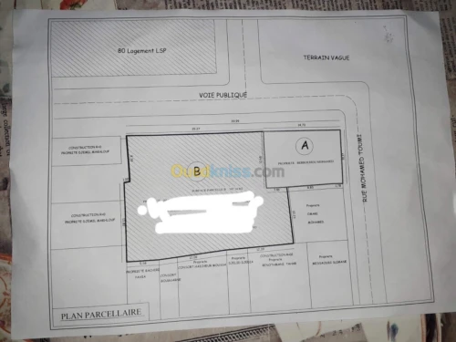 Vente Terrain Bouira Ain bessem