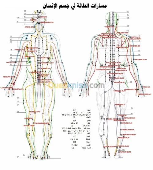 Hijama et chiropractic