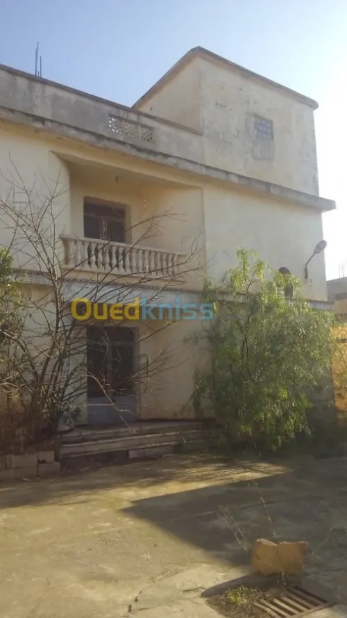 Vente Usine Tlemcen Hennaya