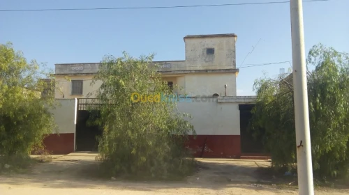 Vente Usine Tlemcen Hennaya