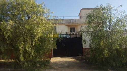 Vente Usine Tlemcen Hennaya