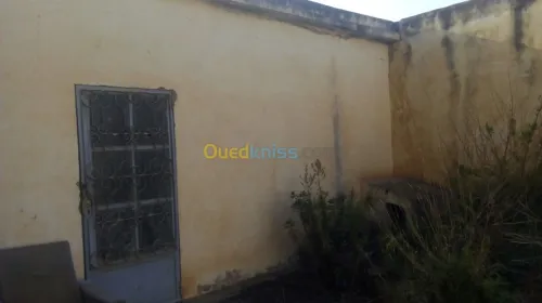 Vente Usine Tlemcen Hennaya