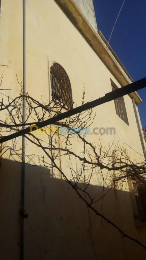 Vente Usine Tlemcen Hennaya