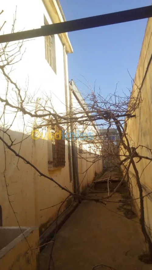Vente Usine Tlemcen Hennaya