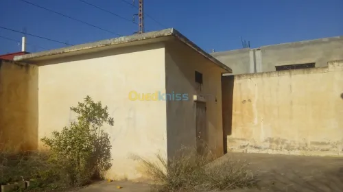 Vente Usine Tlemcen Hennaya