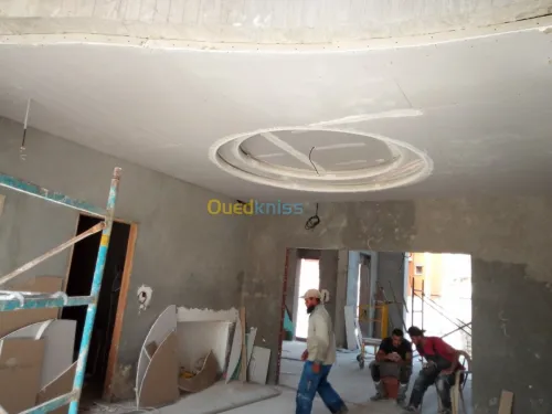 Tous les travaux de placoplater 