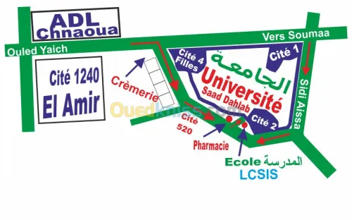 Formation d'Agents de Saisi Pro 