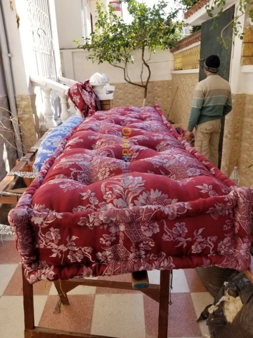 Tarah professionnel
