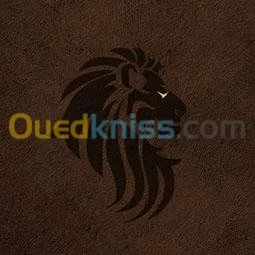 Warmane premium service