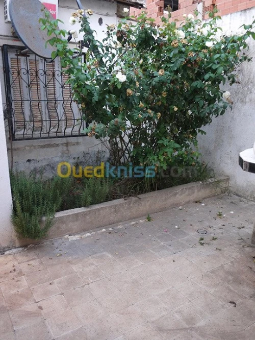 Vente Villa Alger Birtouta