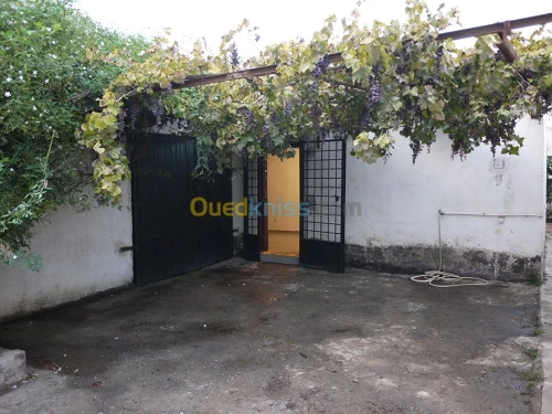 Vente Villa Alger Birtouta
