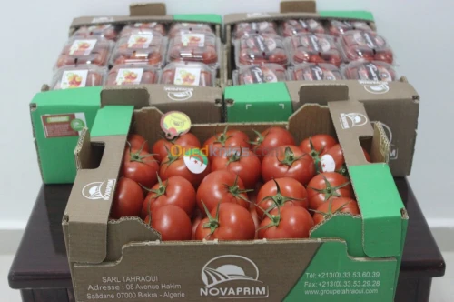 Tomate Vrac et Grappe