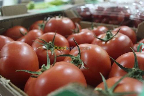 Tomate Vrac et Grappe