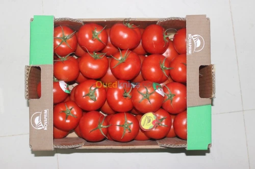 Tomate Vrac et Grappe