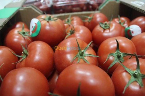 Tomate Vrac et Grappe