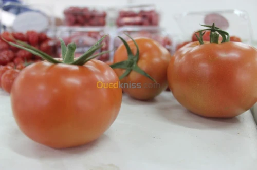 Tomate Vrac et Grappe