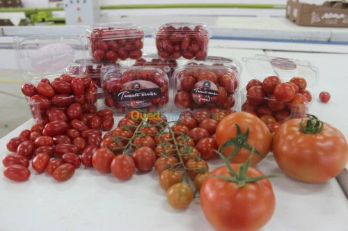 Tomate Vrac et Grappe
